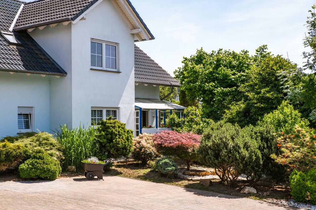 Das Blaue Haus Daufenbach Eksteriør billede